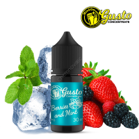 Mix&Go Concentrado Berries and Mint 30ml